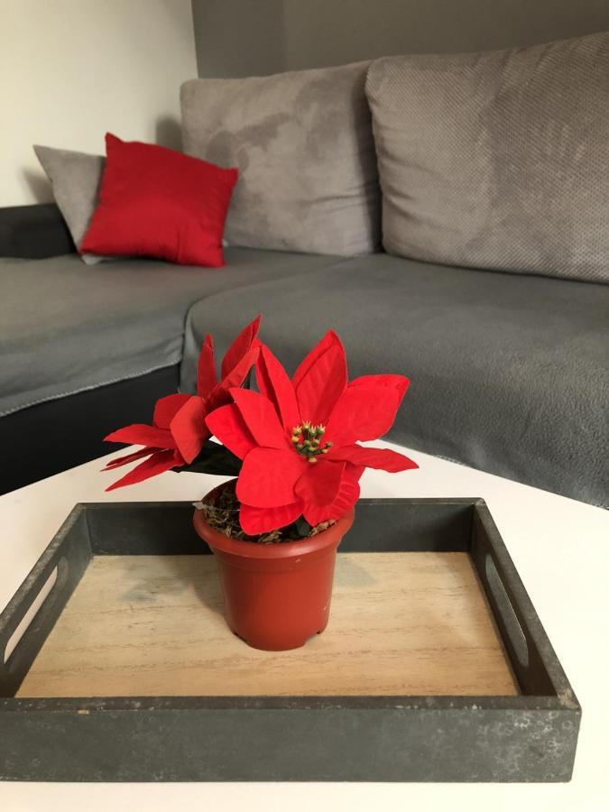 Charming Rijeka City Center Apartment Renee מראה חיצוני תמונה